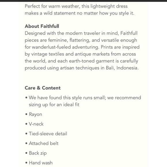 Rare Anthropologie Faithful the Brand Cheetah Billie Dress - Picture 10 of 11